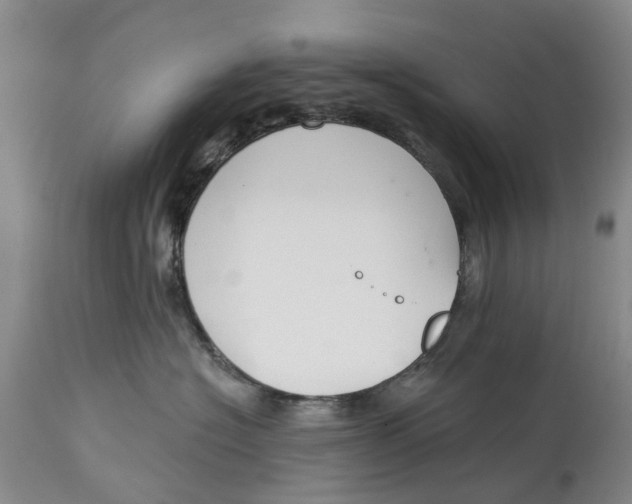 X0000114990574200911161516