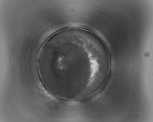 X0000114990577200911161516