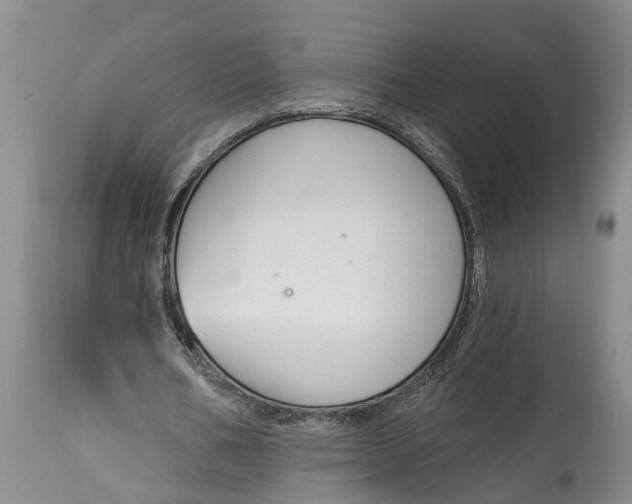 X0000114990578200911161516