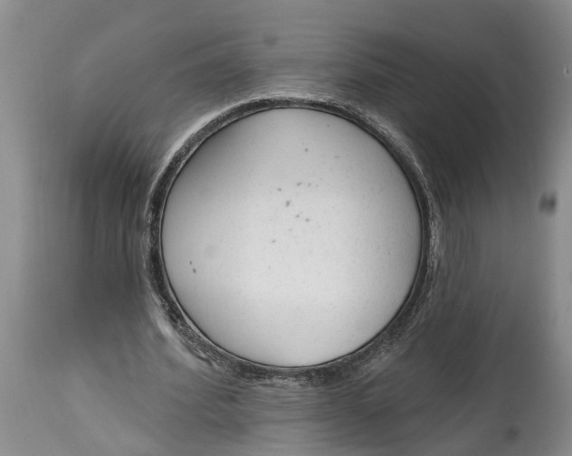 X0000114990580200911161516