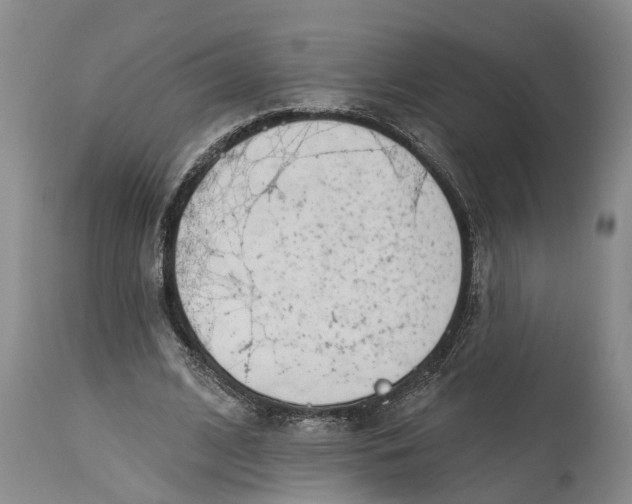 X0000114990584200911161516