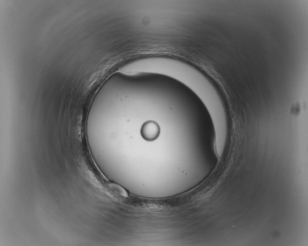 X0000114990585200911161516