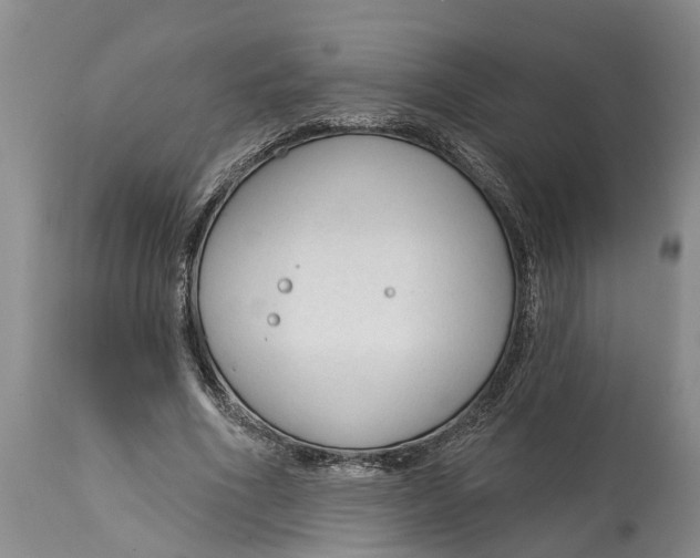 X0000114990586200911161516