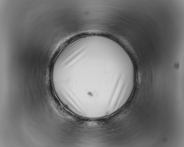 X0000114990588200911161516