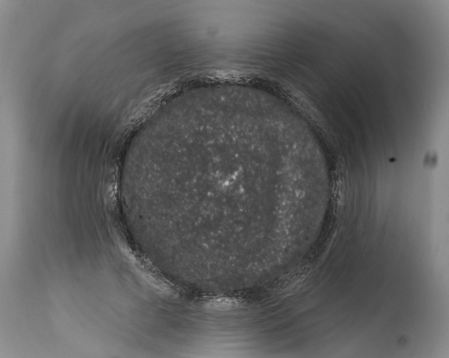 X0000114990593200911161515