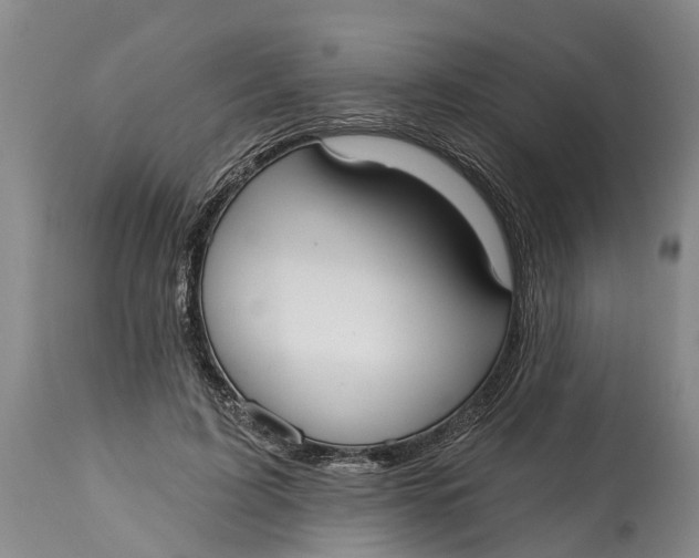 X0000114990595200911161515