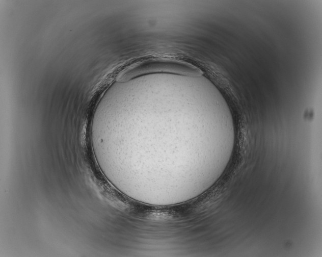 X0000114990596200911161515