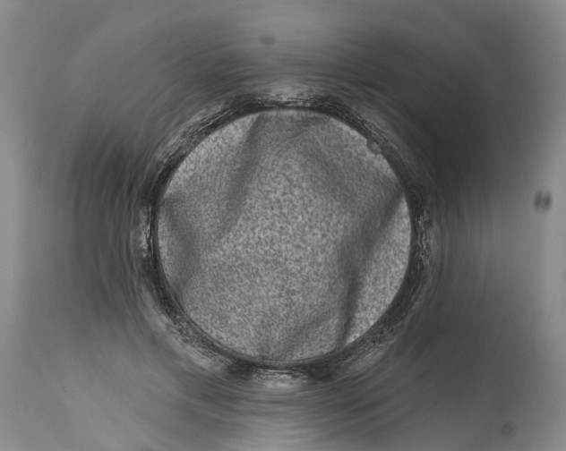 X0000114990597200911161515