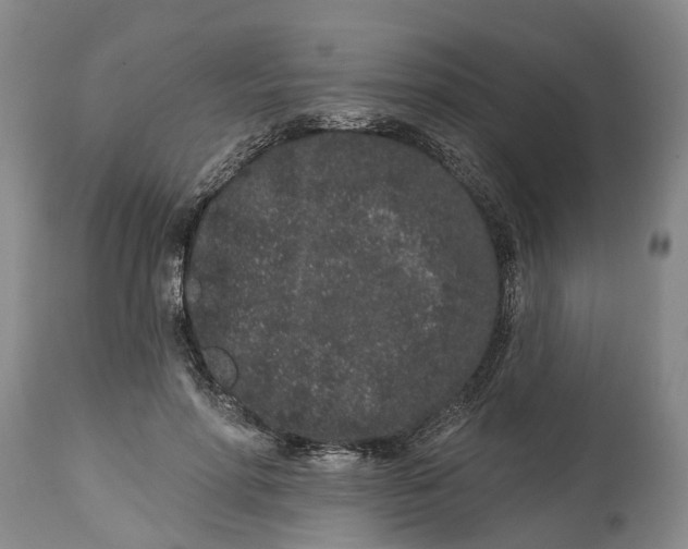 X0000114990598200911161515