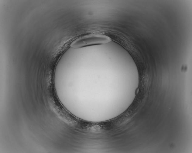 X0000114990600200911161515