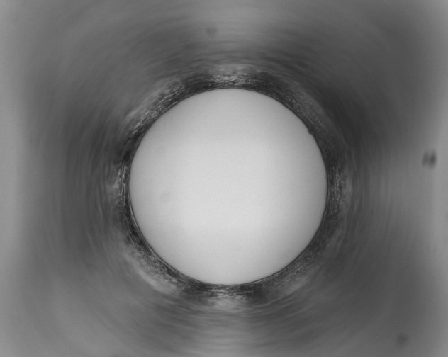 X0000114990601200911161515