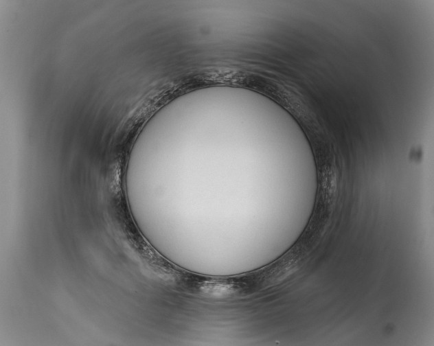 X0000114990602200911161515