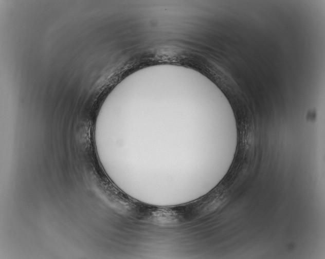 X0000114990603200911161515