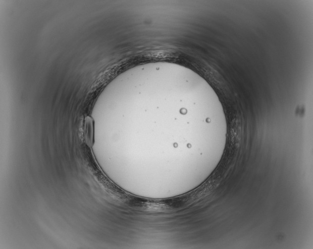 X0000114990605200911161515