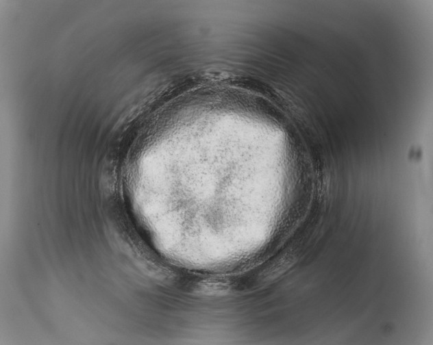 X0000114990606200911161515