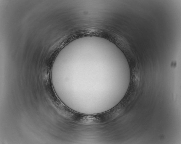 X0000114990607200911161515