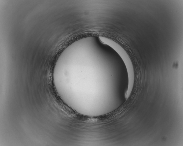 X0000114990609200911161515