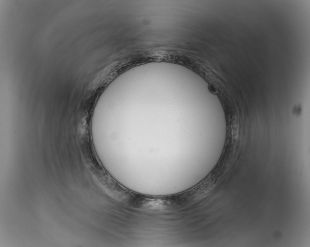 X0000114990611200911161515