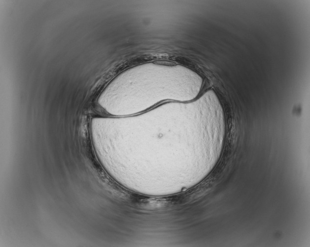 X0000114990612200911161515