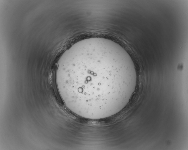 X0000114990613200911161515