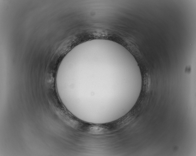 X0000114990614200911161515