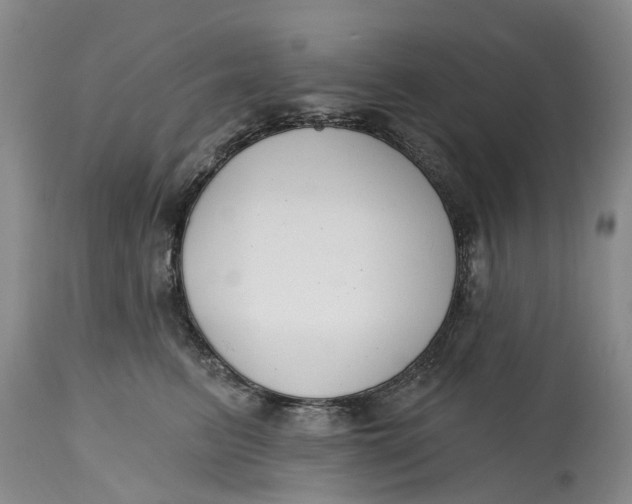 X0000114990615200911161515