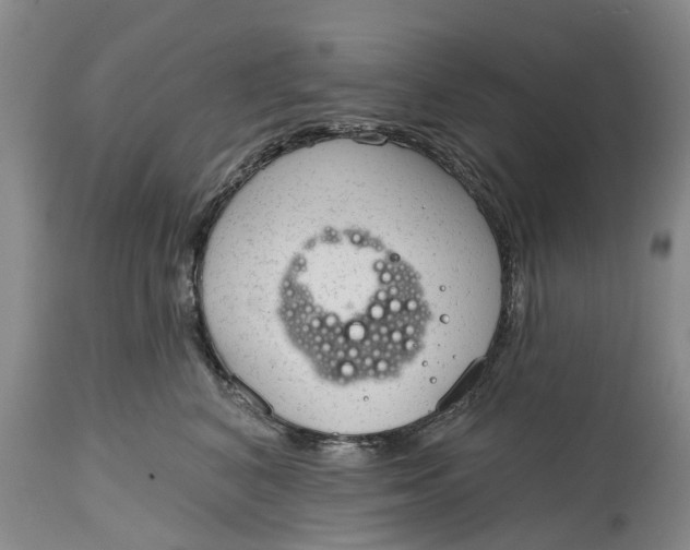 X0000114990616200911161515