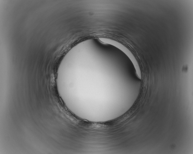 X0000114990617200911161515