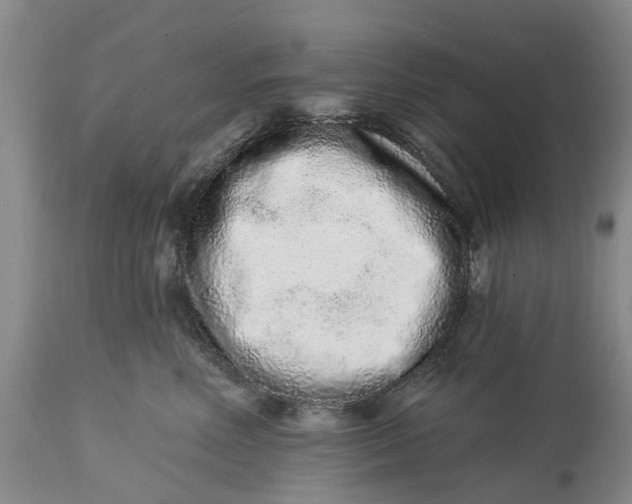 X0000114990618200911161515