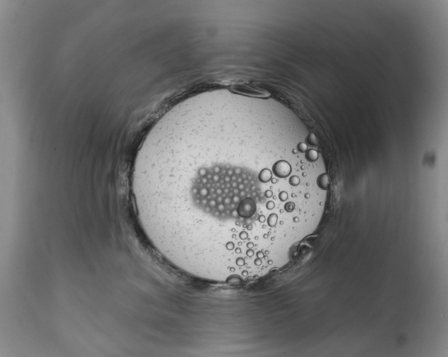 X0000114990620200911161515