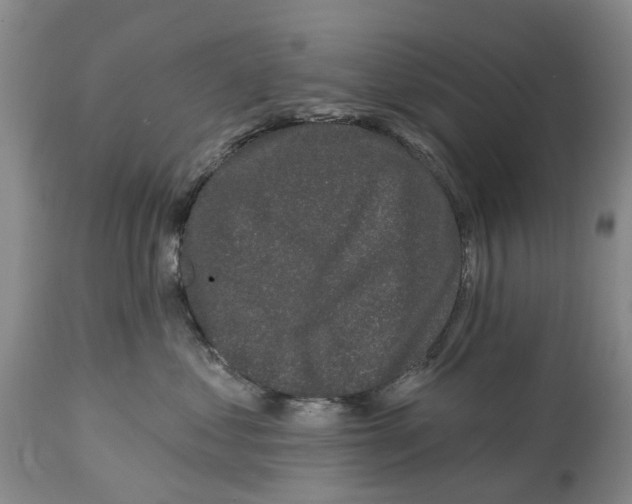 X0000114990621200911161515