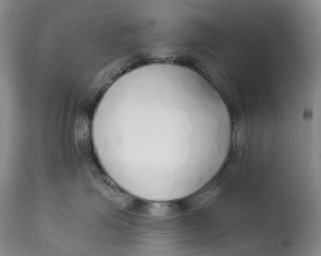 X0000114990623200911161515