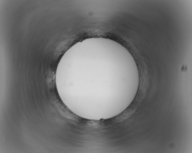 X0000114990624200911161515