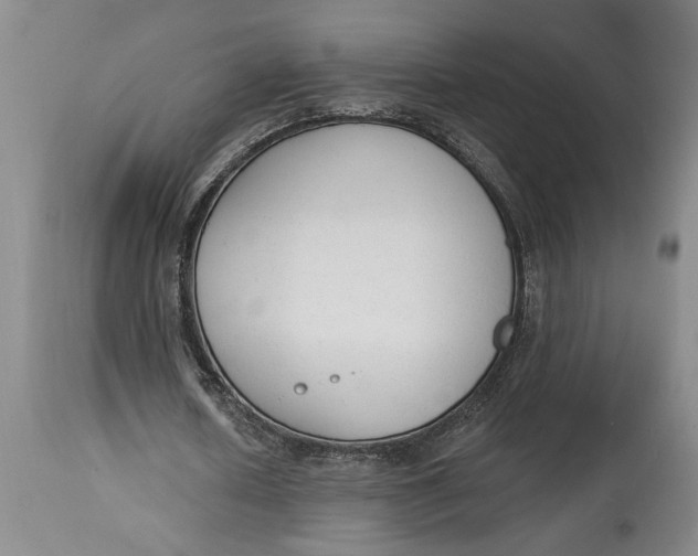 X0000114990626200911161514