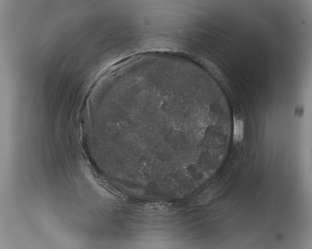 X0000114990627200911161514