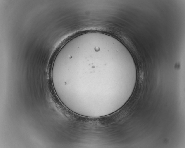 X0000114990628200911161514