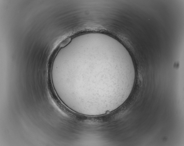 X0000114990630200911161514