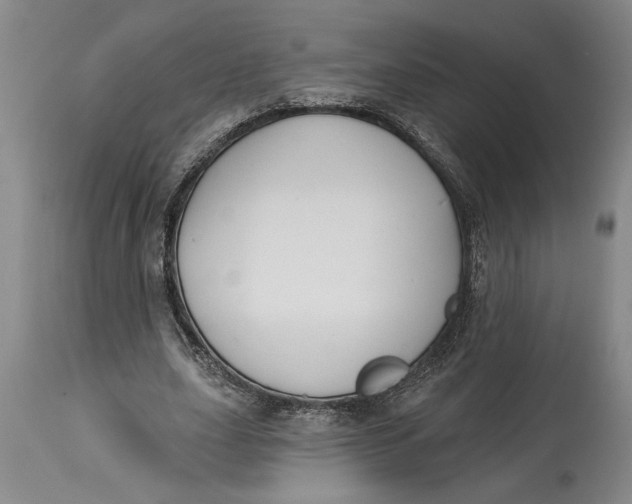 X0000114990631200911161514