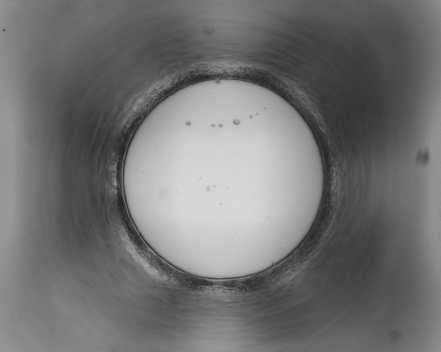 X0000114990633200911161514