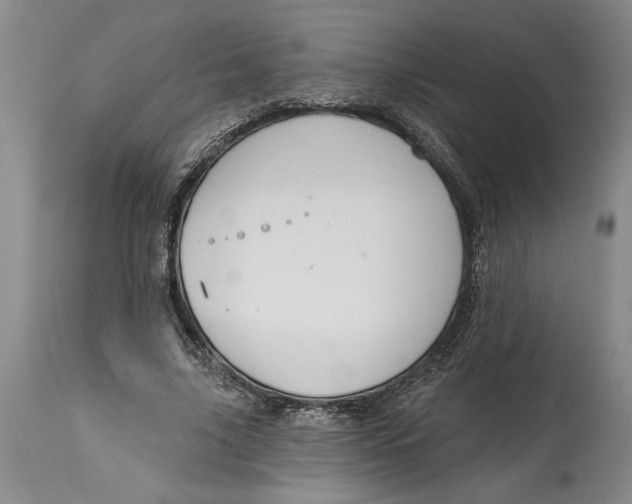 X0000114990635200911161514