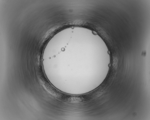 X0000114990636200911161514