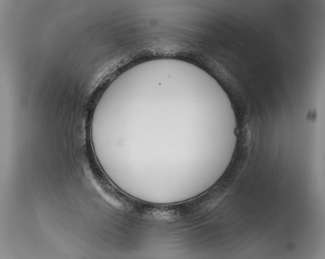 X0000114990638200911161514