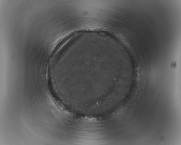 X0000114990640200911161514