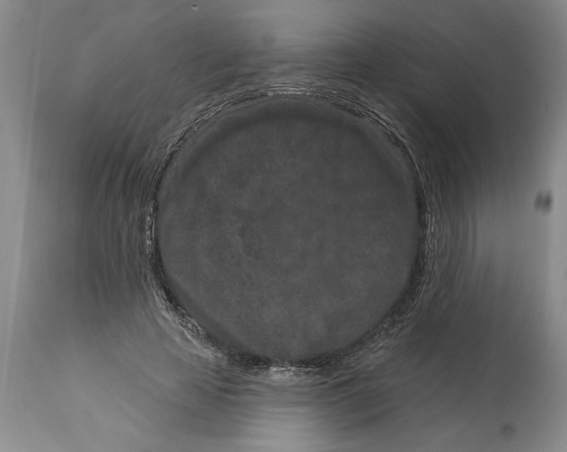 X0000114990641200911161514