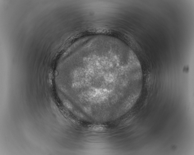 X0000114990643200911161514