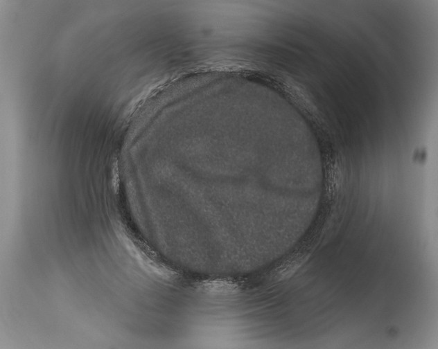 X0000114990644200911161514