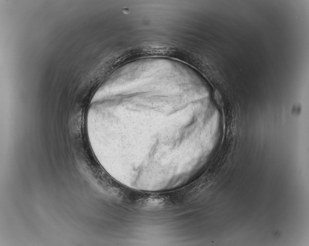 X0000114990647200911161515