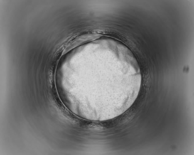 X0000114990648200911161515