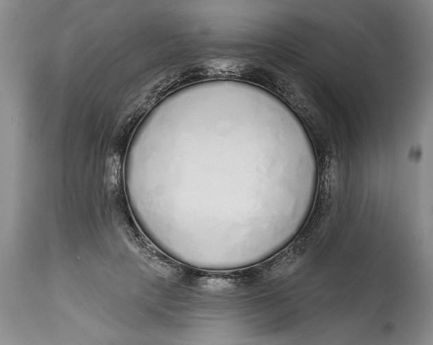 X0000114990649200911161515