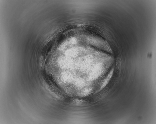 X0000114990650200911161515